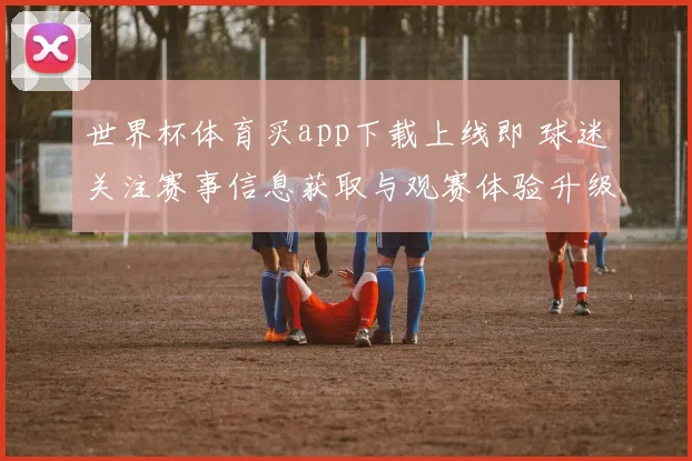 世界杯体育买app下载上线即 球迷关注赛事信息获取与观赛体验升级