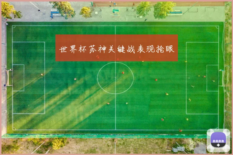 世界杯苏神关键战表现抢眼