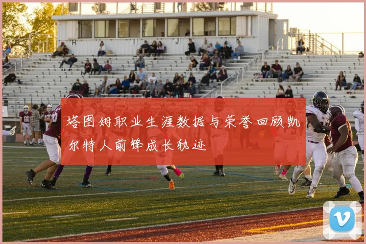 塔图姆职业生涯数据与荣誉回顾凯尔特人前锋成长轨迹