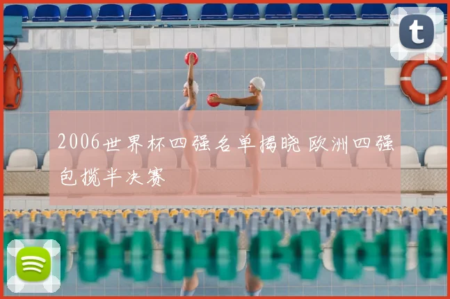 2006世界杯四强名单揭晓 欧洲四强包揽半决赛